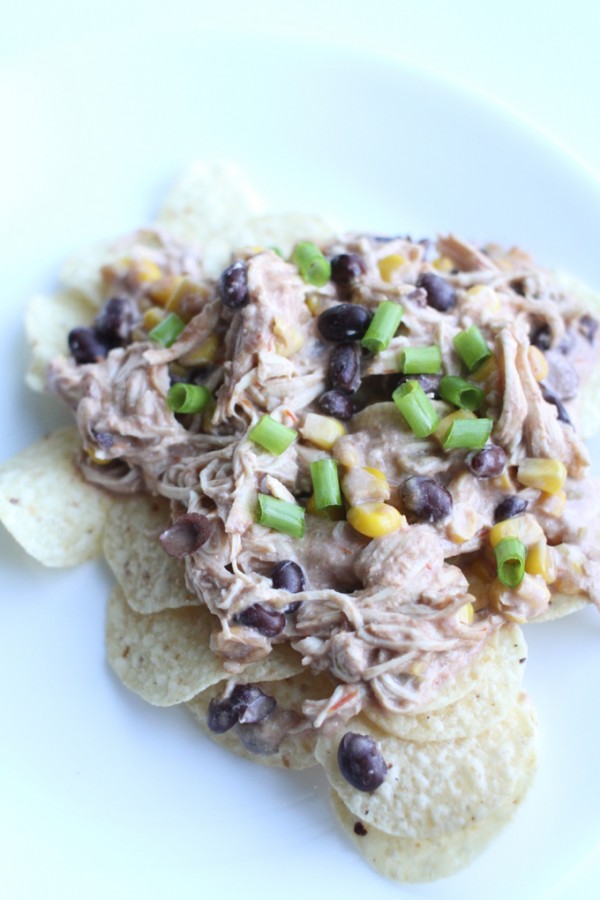 Aztec Chicken Recipe - Paintbrushes & Popsicles