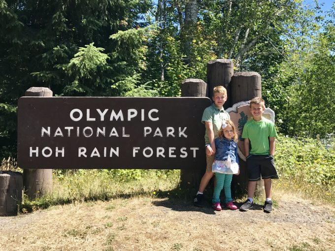 Olympic National Park Hoh Rainforest