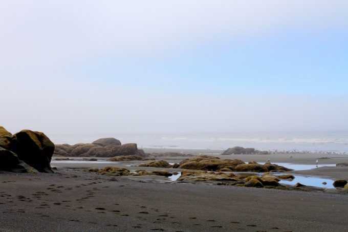 Beach 3 Olympic National Park